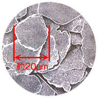 タンクステンコートの電子顕微鏡写真